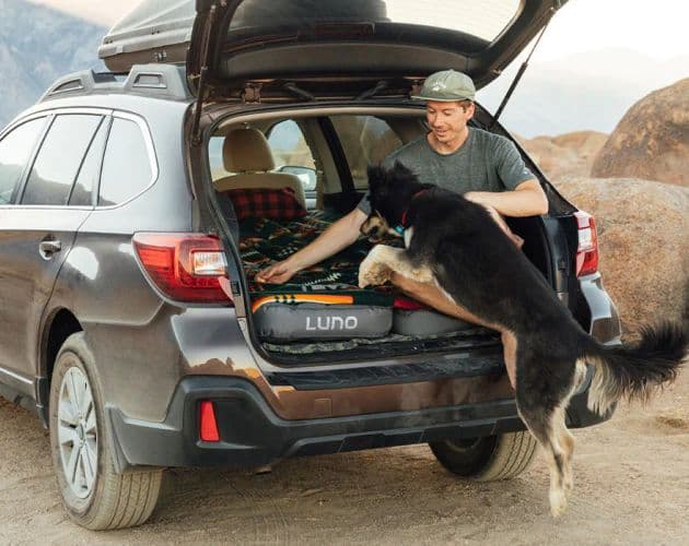 guy in the back of his car with a dog